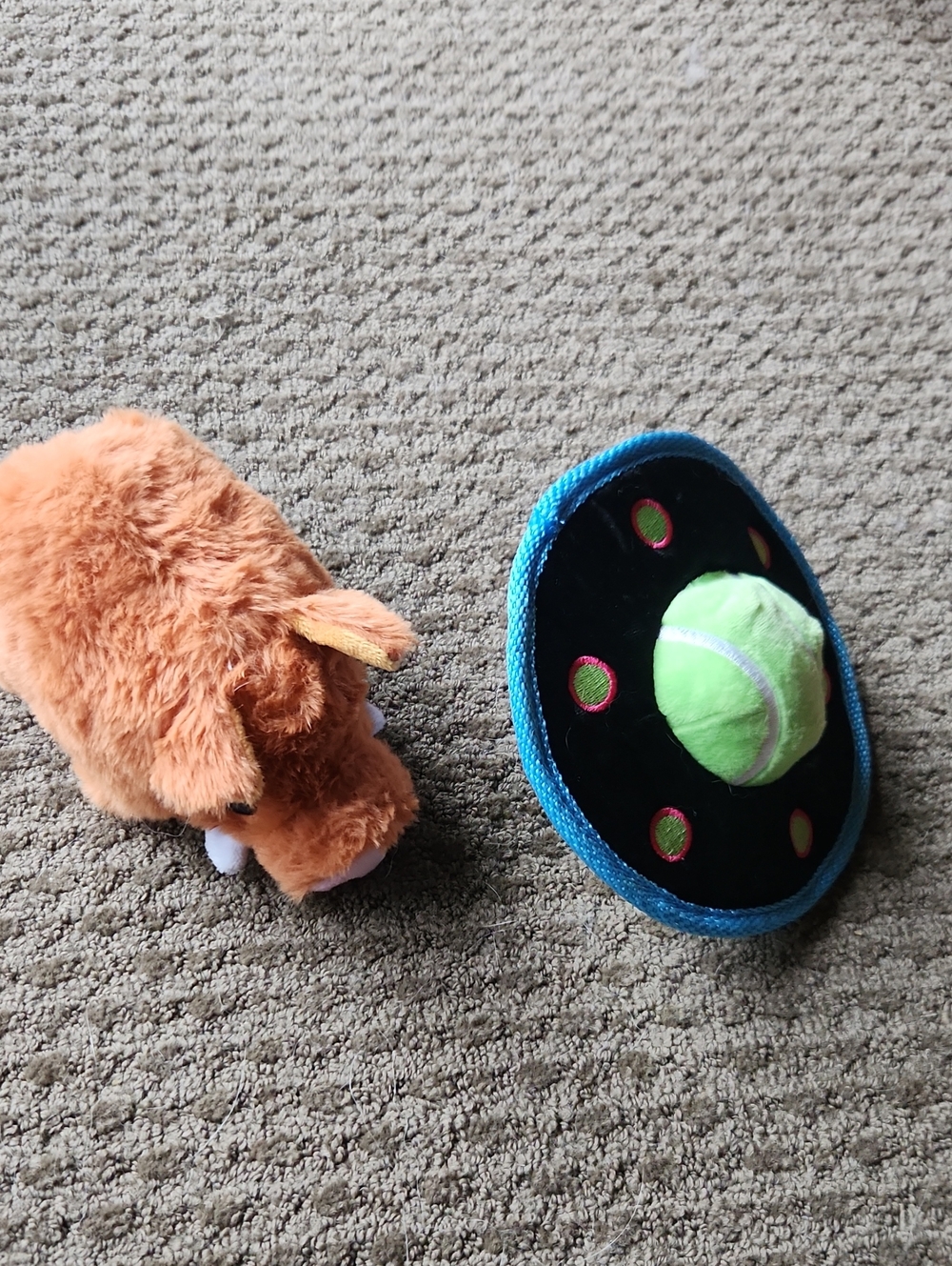 Bundle Of 2 Bark Box Toys